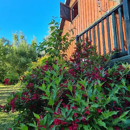 Tatil Evi Dom W Tumianach Tumiany